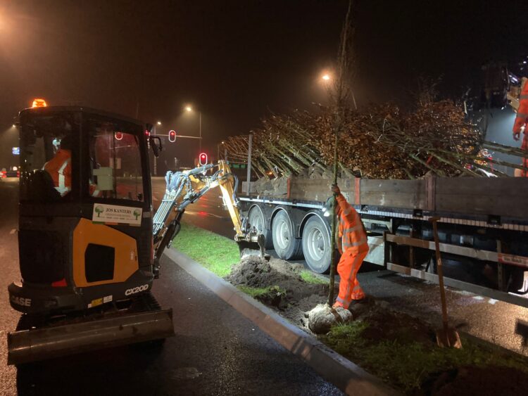 Bij een van de nieuwe kruispunten worden nieuwe bomen geplant