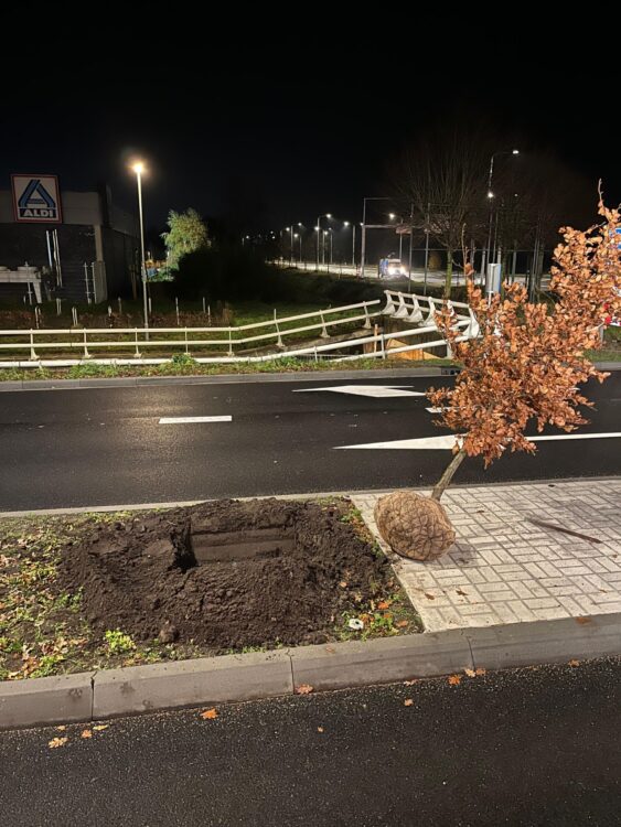 In de middenberm is een plantvak gemaakt voor een boom