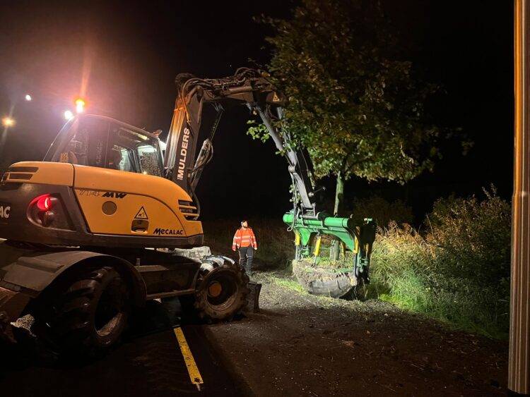 In totaal werden er 76 bomen verplant