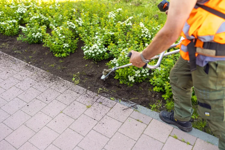 Jos Kanters maaien bedrijfstuinen