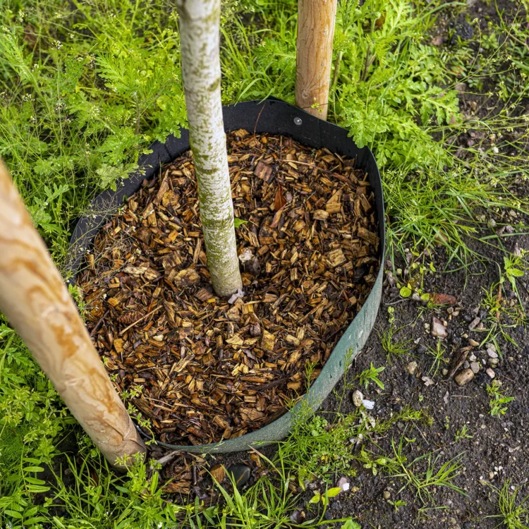 Onkruid bedrijfstuinen